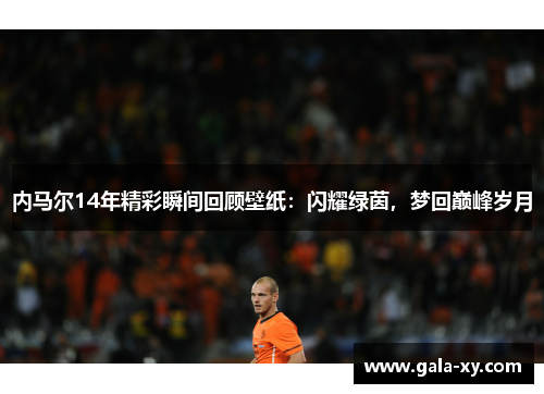 内马尔14年精彩瞬间回顾壁纸:闪耀绿茵,梦回巅峰岁月 内马尔14年精彩瞬间回顾壁纸:闪耀绿茵,梦回巅峰岁月