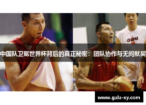 中国队卫冕世界杯背后的真正秘密:团队协作与无间默契 中国队卫冕世界杯背后的真正秘密:团队协作与无间默契