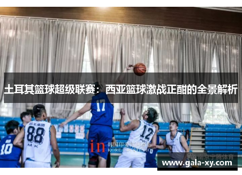 土耳其篮球超级联赛：西亚篮球激战正酣的全景解析