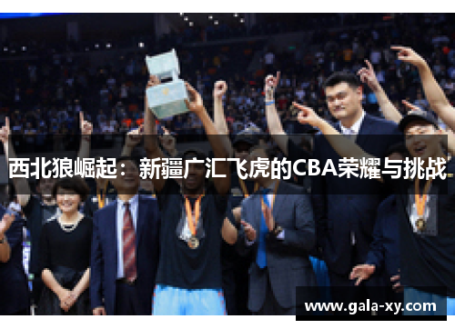 西北狼崛起：新疆广汇飞虎的CBA荣耀与挑战