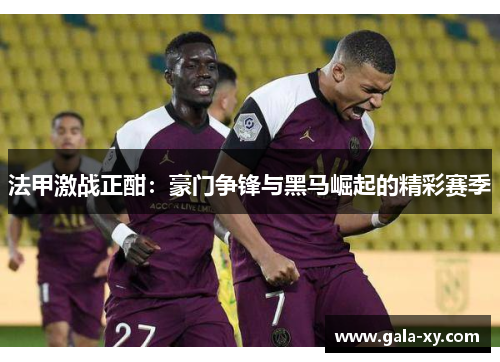 法甲激战正酣：豪门争锋与黑马崛起的精彩赛季