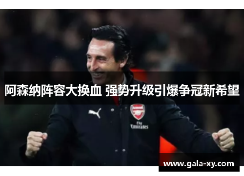 阿森纳阵容大换血 强势升级引爆争冠新希望